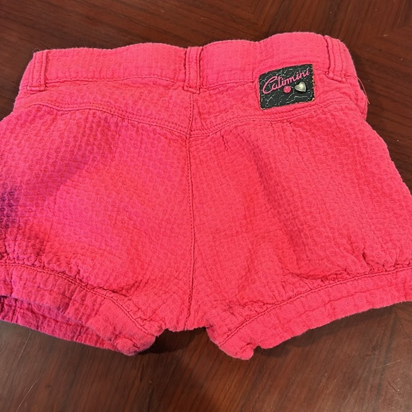 Cat and jack - Picture 7 of 7